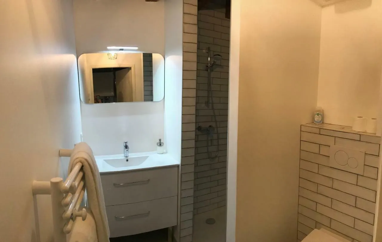 Le Studio Du Moulin Apartment Chambery